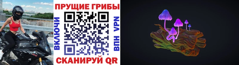 как найти   Новотроицк  Галлюциногенные грибы прущие грибы 